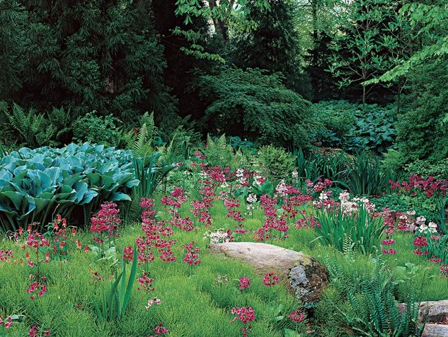how to build a rain garden